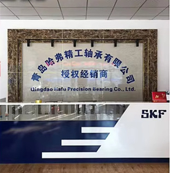 China Qingdao Haver Seiko Bearing Co., Ltd.