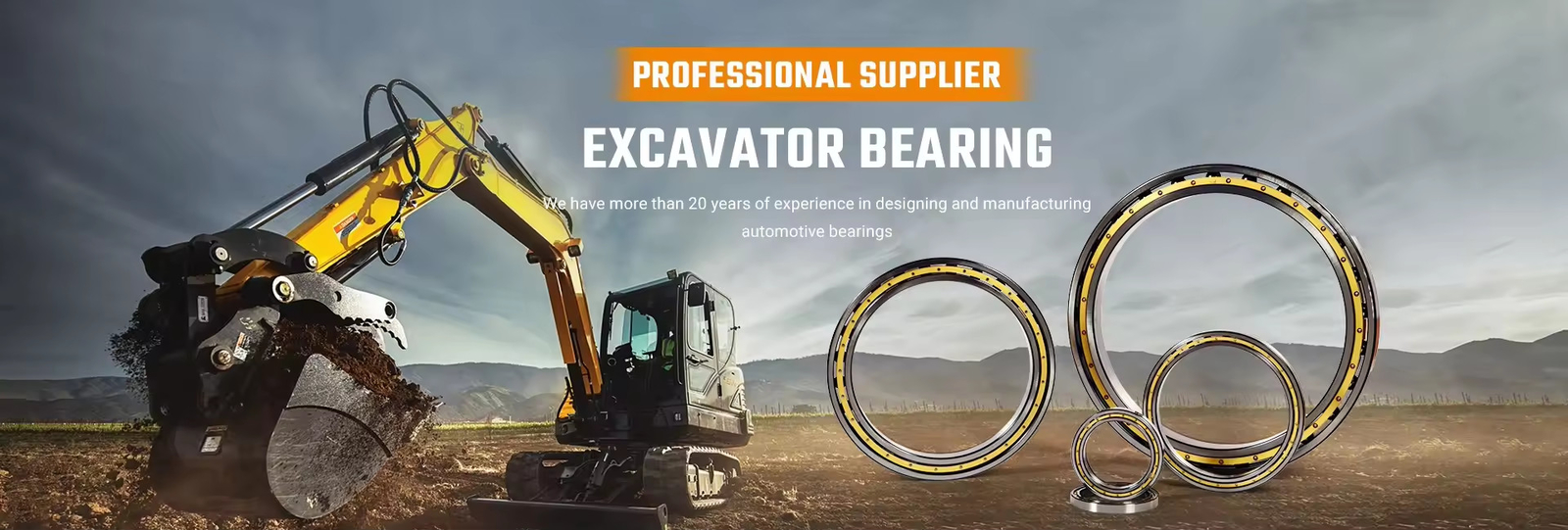Self-Aligning Ball Bearing