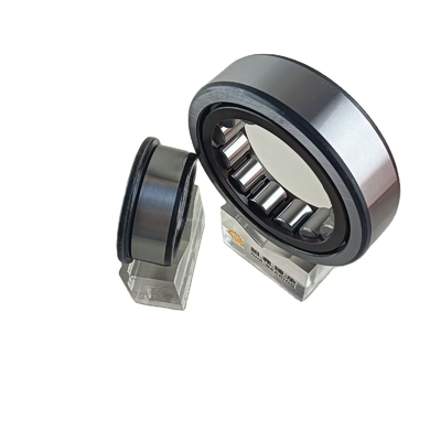 Single Row 45*100*25mm NU/NJ/NF309ECP Cylindrical Roller Bearing with Oil Lubrication