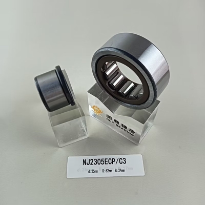 25*62*24mm Cylindrical Roller Bearing NU/NJ/NF2305ECP with Cylindrical Structure